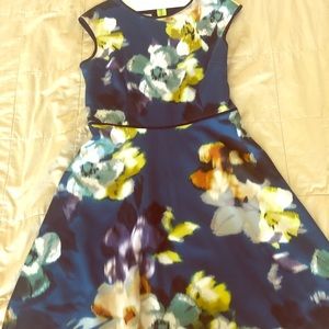 Dress barn floral A-line dress